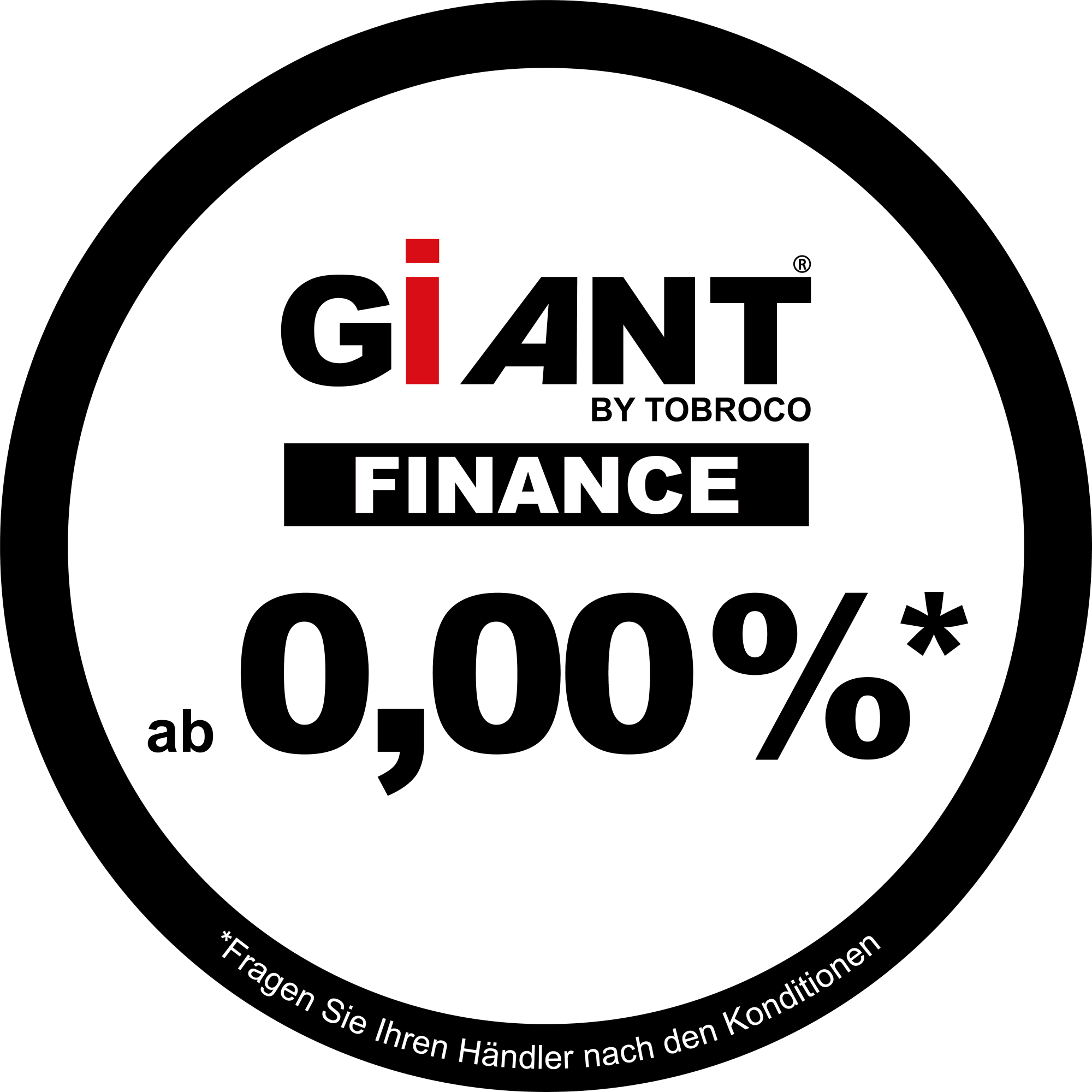 giant finance de